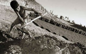 child labour
