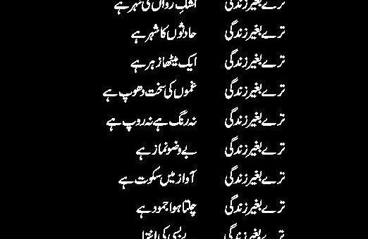 Tere-Beghair-Zindagi-Amin Kunjahi‎